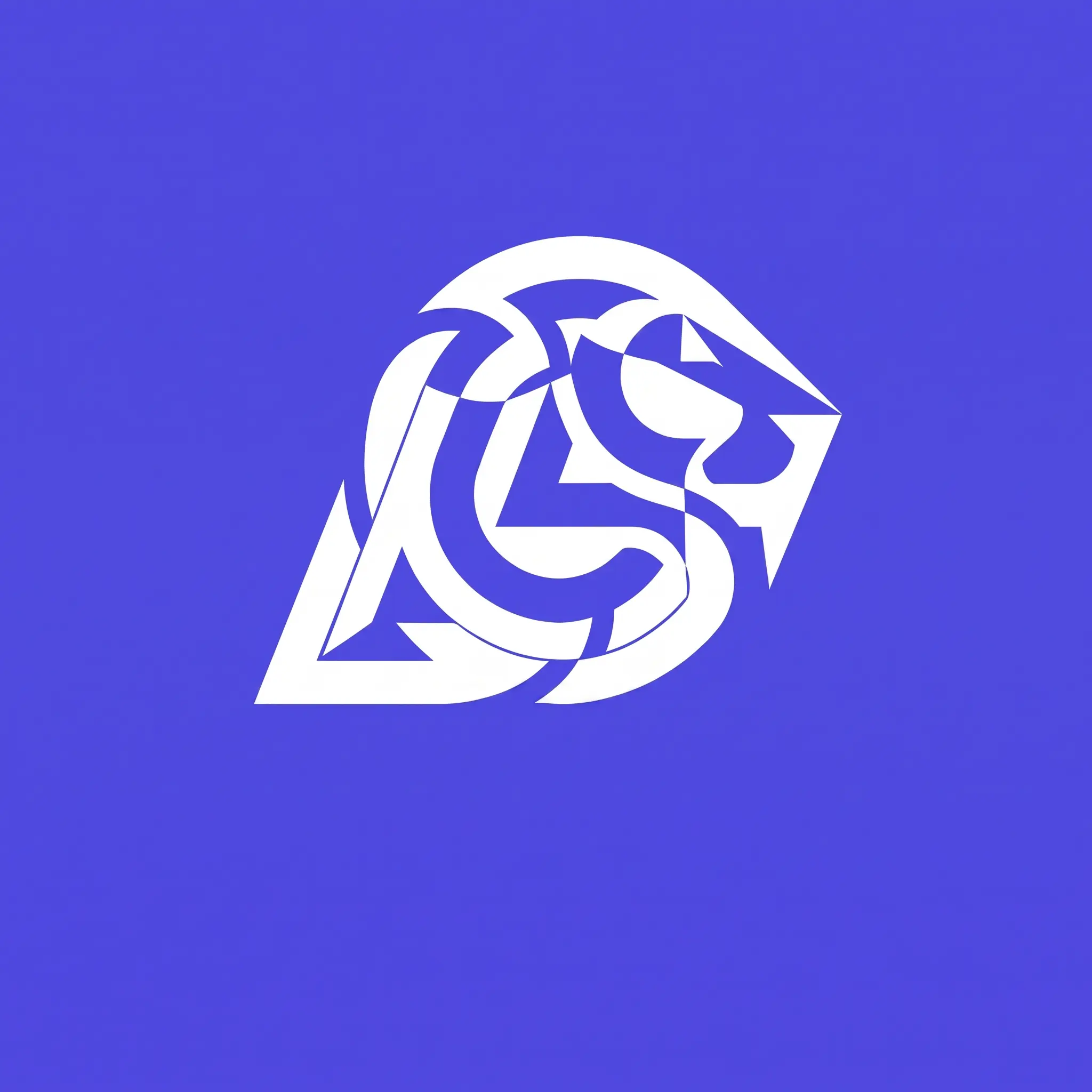 LeoCode Solution